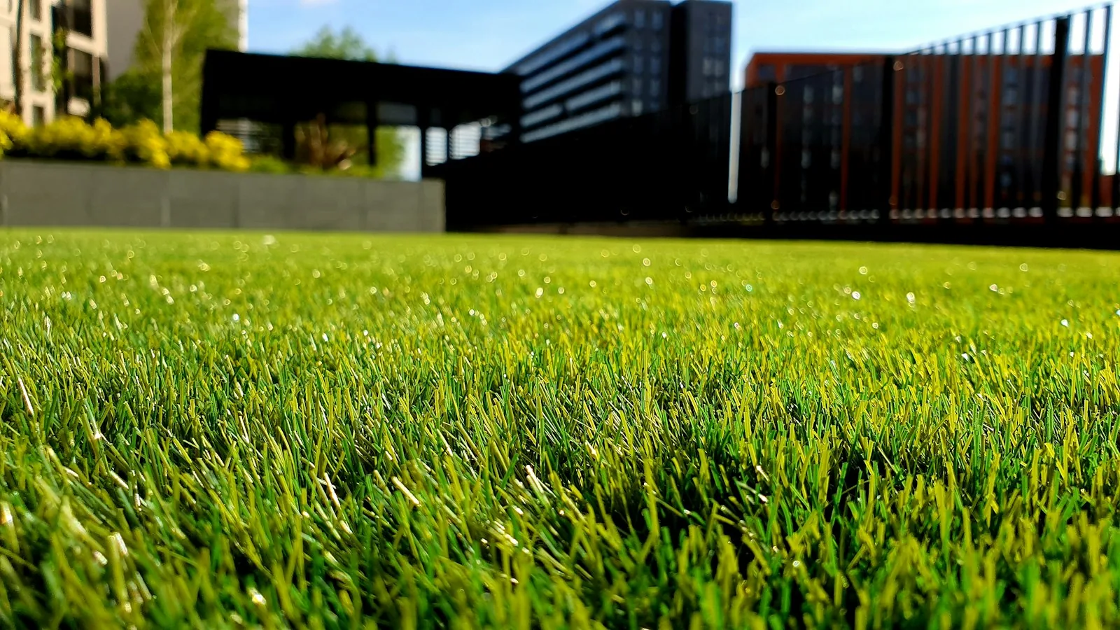 Illustrative weekly lawn care